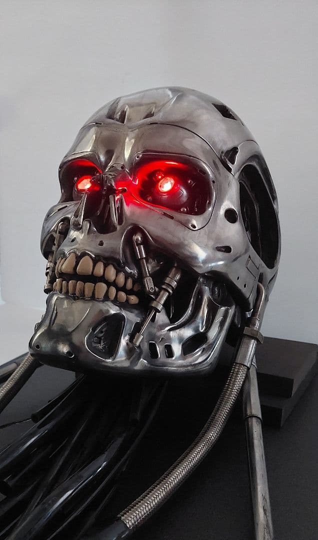 M1号　1/1　改修エンドスカル