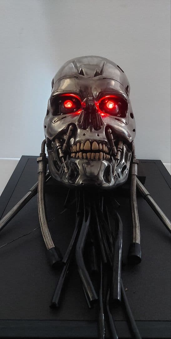 M1号　1/1　改修エンドスカル