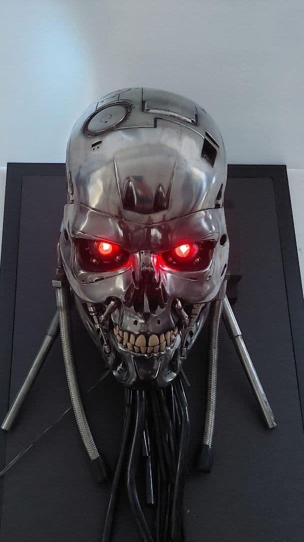 M1号　1/1　改修エンドスカル