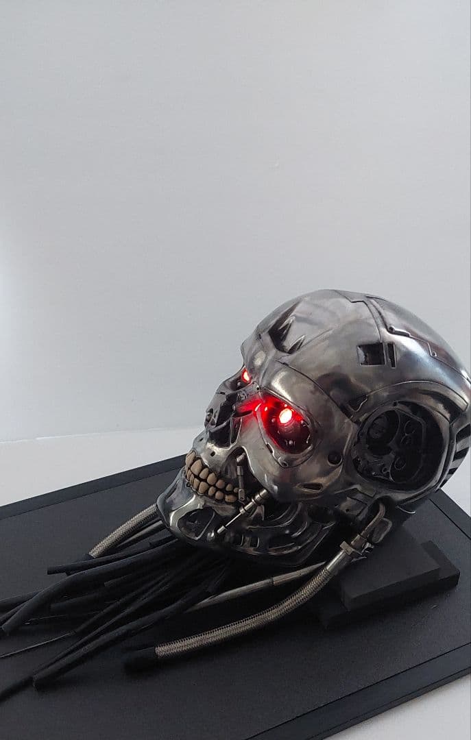 M1号　1/1　改修エンドスカル