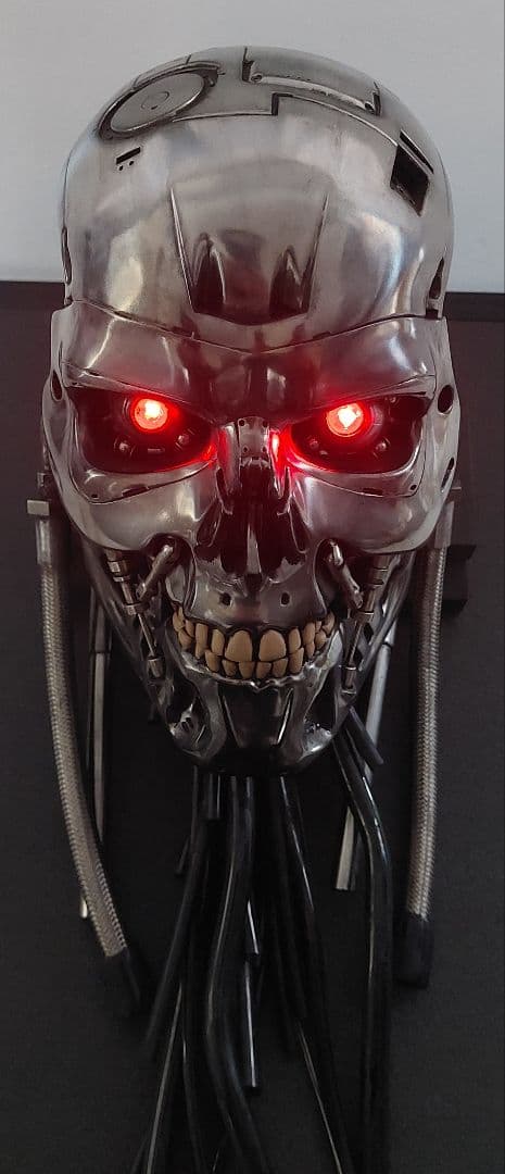 M1号　1/1　改修エンドスカル