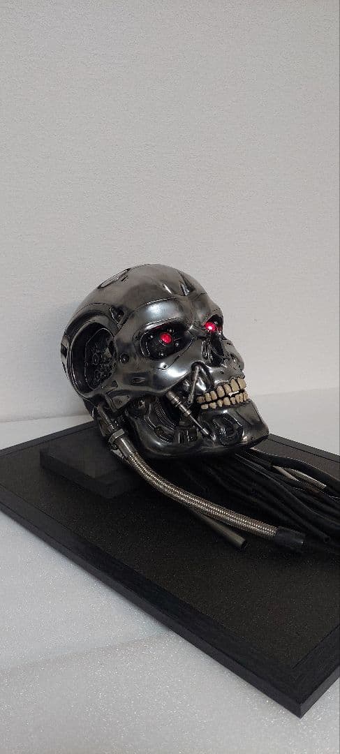 M1号　1/1　改修エンドスカル