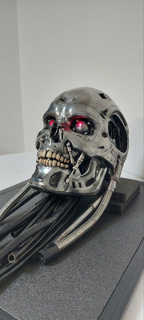 M1号　1/1　改修エンドスカル