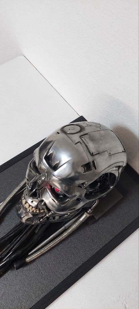 M1号　1/1　改修エンドスカル