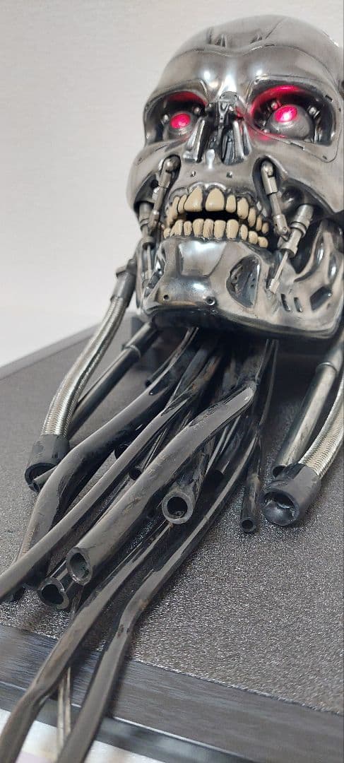 M1号　1/1　改修エンドスカル