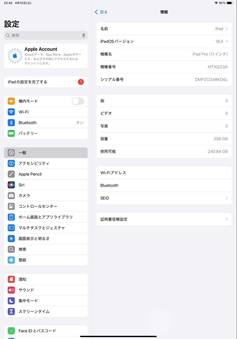 iPad Pro 11インチ 第1世代 WIFIモデル　256GB
