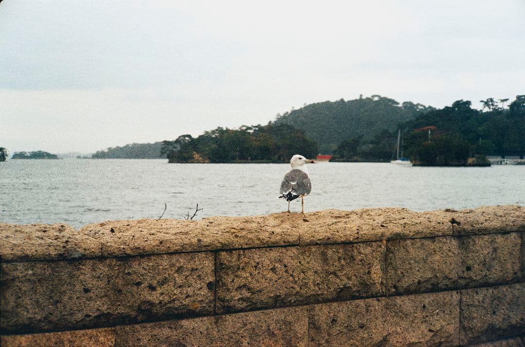 YASHICA ELECTRO 35 GL（電池アダプタ付属）