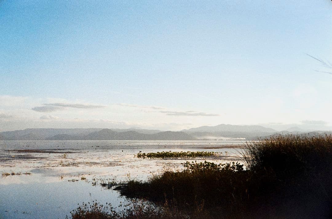 YASHICA ELECTRO 35 GL（電池アダプタ付属）