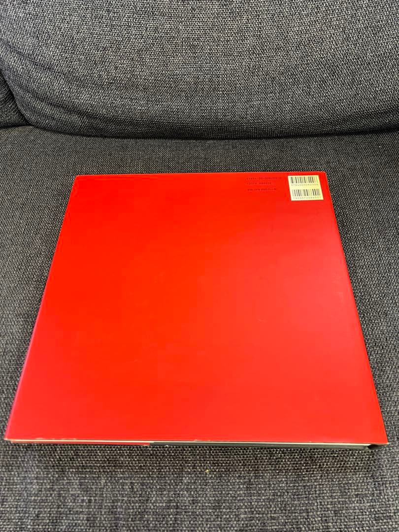 希少　アウレリオ・アメンドラ写真集「サン・ピエトロ」岩波書店 1999年