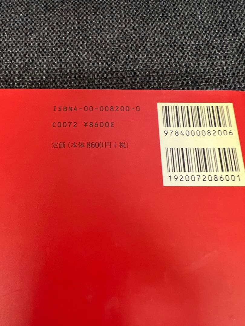希少　アウレリオ・アメンドラ写真集「サン・ピエトロ」岩波書店 1999年
