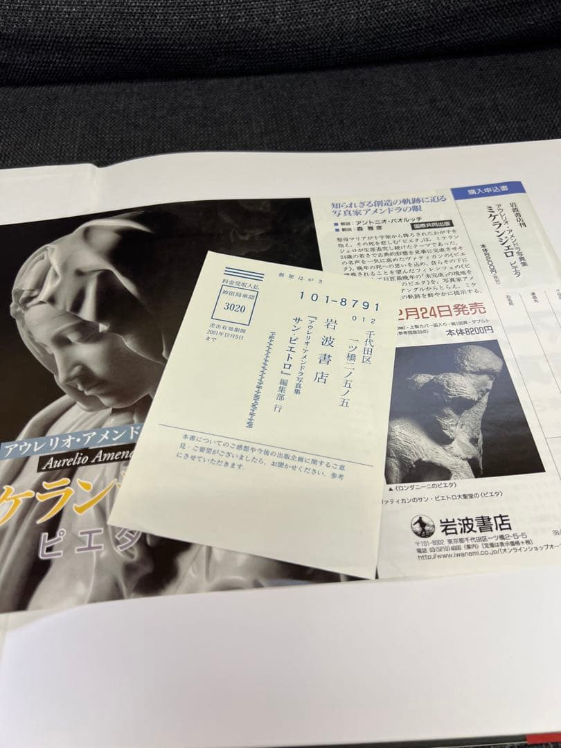 希少　アウレリオ・アメンドラ写真集「サン・ピエトロ」岩波書店 1999年