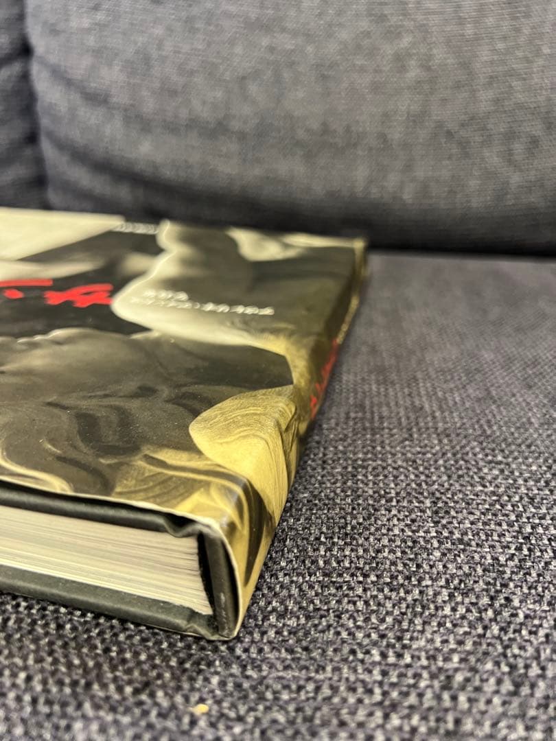 希少　アウレリオ・アメンドラ写真集「サン・ピエトロ」岩波書店 1999年