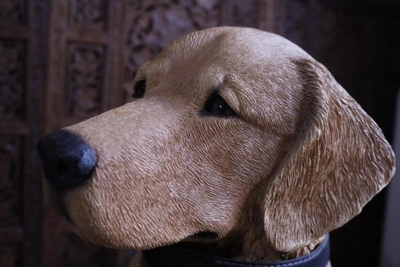 \"飼い主さん\"募集中【犬】ゴールデンレトリバー置物】大型犬