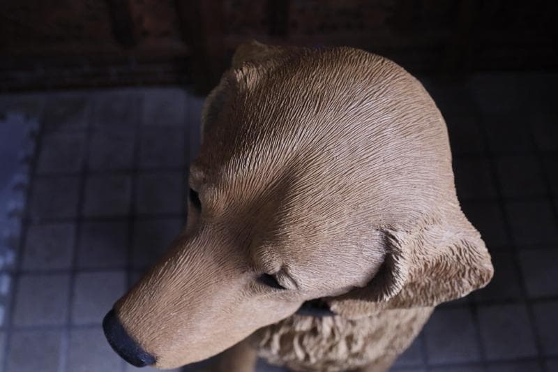 \"飼い主さん\"募集中【犬】ゴールデンレトリバー置物】大型犬