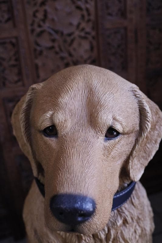 \"飼い主さん\"募集中【犬】ゴールデンレトリバー置物】大型犬