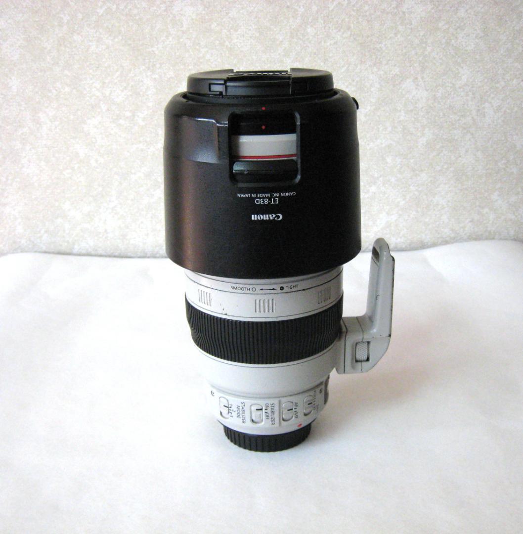Canon EF 100-400mm f/4.5-5.6L IS ⅡUSM
