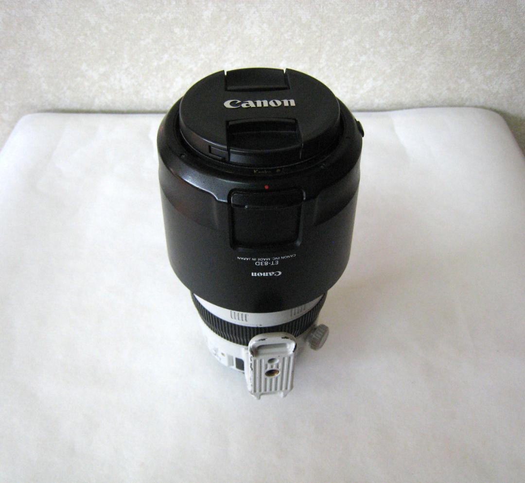 Canon EF 100-400mm f/4.5-5.6L IS ⅡUSM