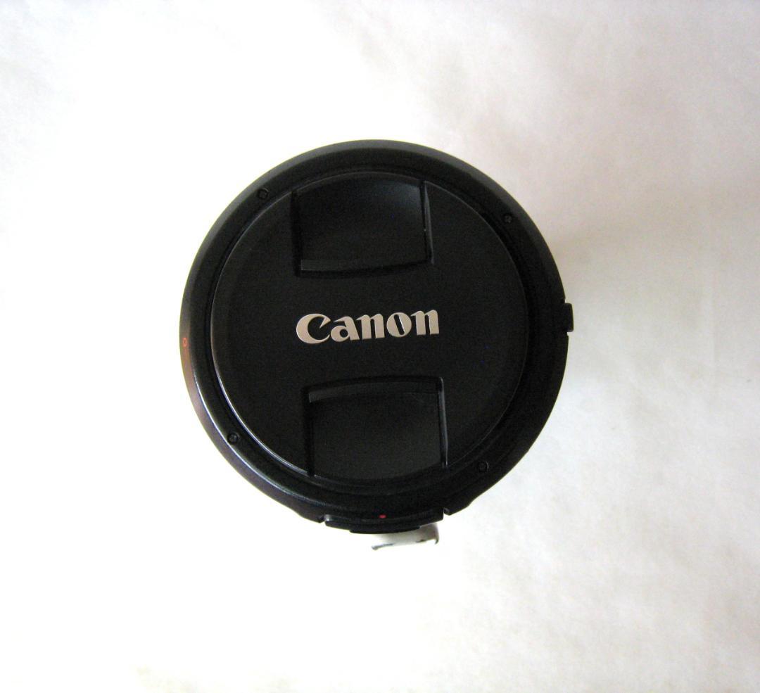 Canon EF 100-400mm f/4.5-5.6L IS ⅡUSM