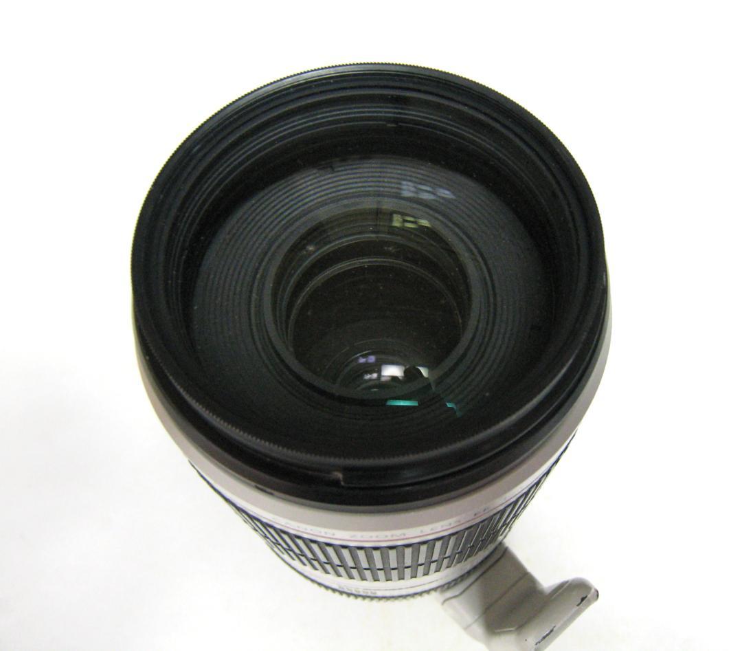Canon EF 100-400mm f/4.5-5.6L IS ⅡUSM