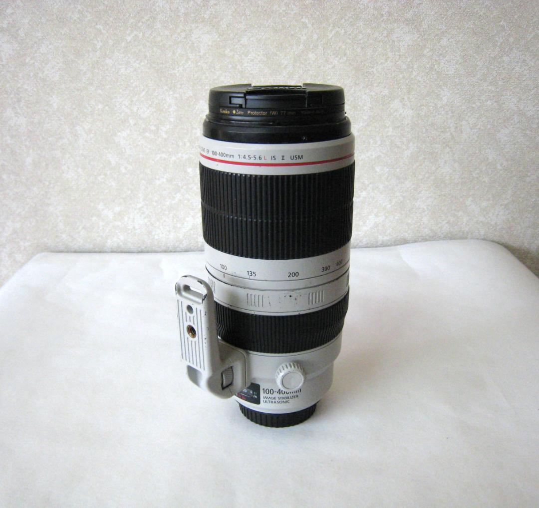 Canon EF 100-400mm f/4.5-5.6L IS ⅡUSM
