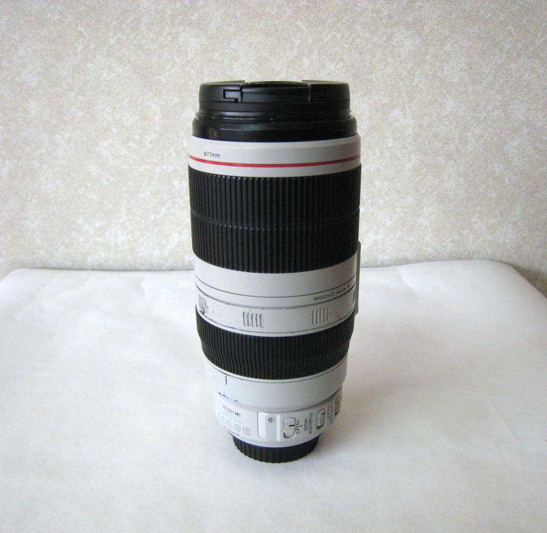 Canon EF 100-400mm f/4.5-5.6L IS ⅡUSM