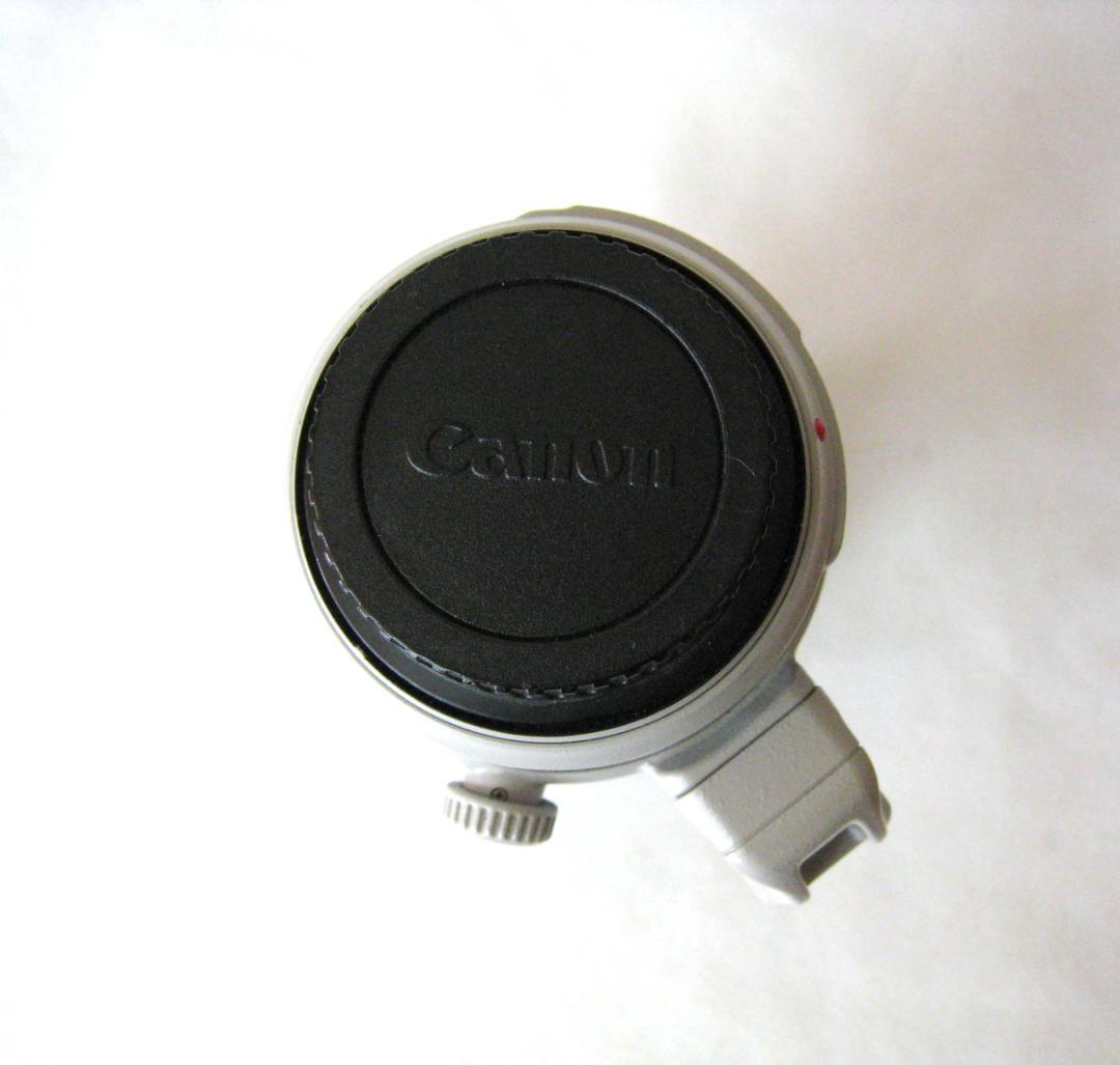 Canon EF 100-400mm f/4.5-5.6L IS ⅡUSM