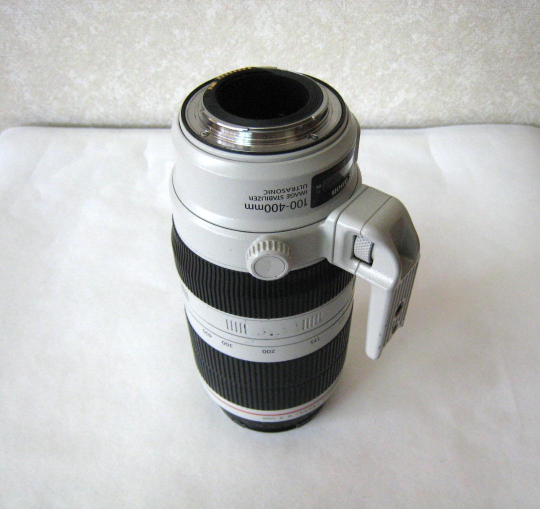Canon EF 100-400mm f/4.5-5.6L IS ⅡUSM