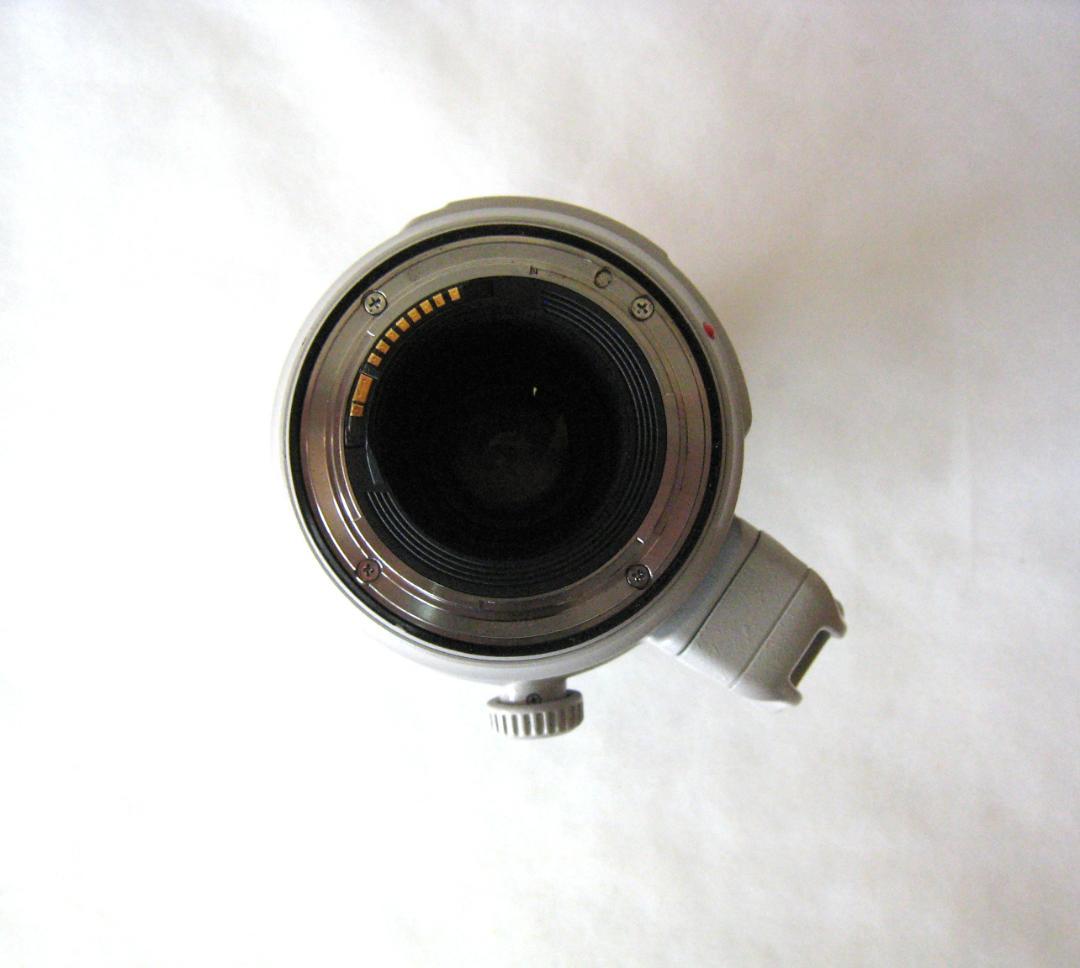 Canon EF 100-400mm f/4.5-5.6L IS ⅡUSM