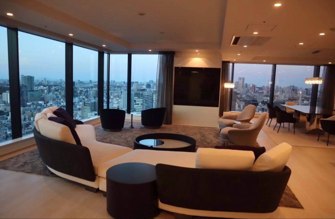 minotti lawson semi-round カウチ　2枚目