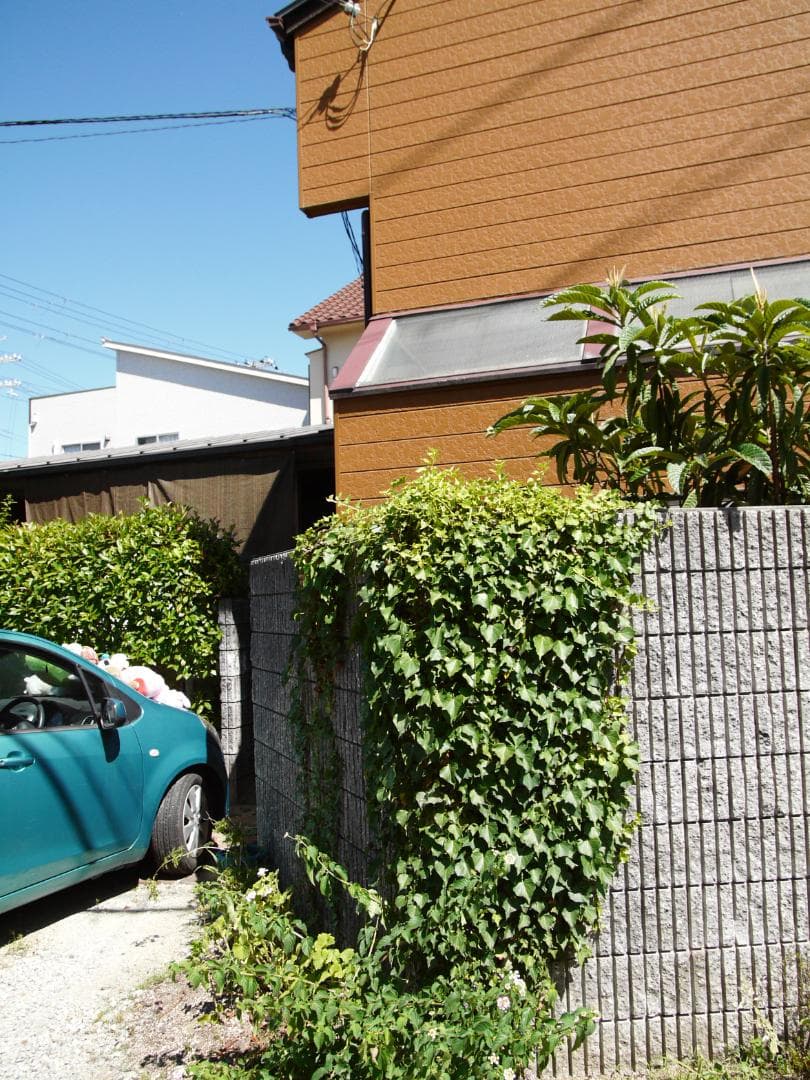 ライカ　Dバリオエルマー付き　パナソDMC.L1K　レンズキット