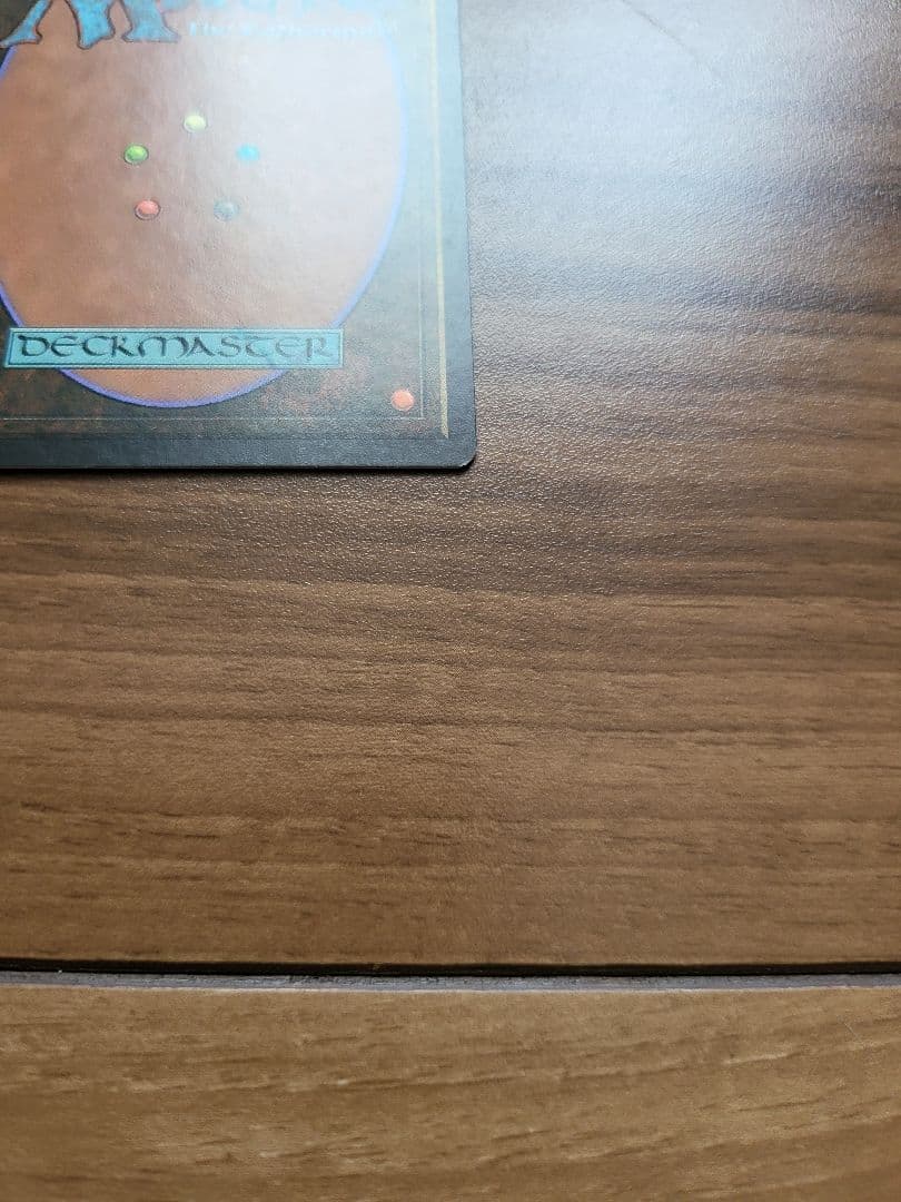 雨ざらしの旅人　foil　マジック：ザ・ギャザリング