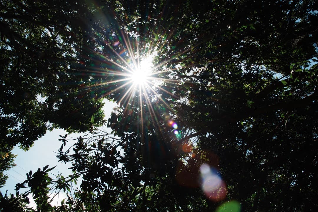 美品 動作◎ AF-S Nikkor 24-120mm F4G ED VR 12