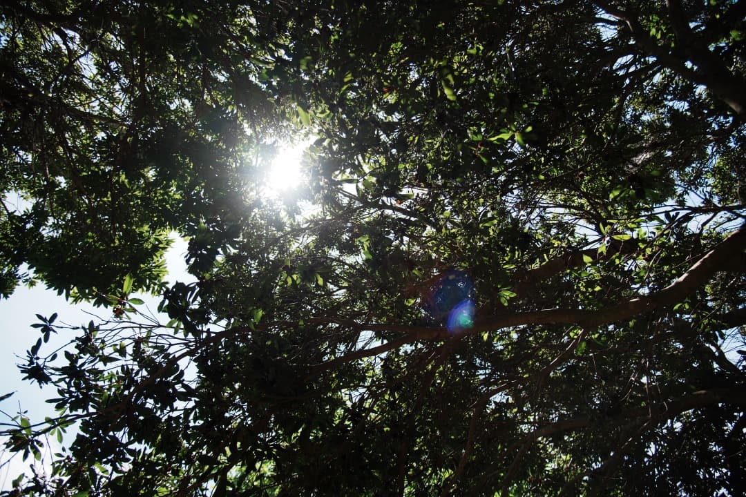 美品 動作◎ AF-S Nikkor 24-120mm F4G ED VR 12