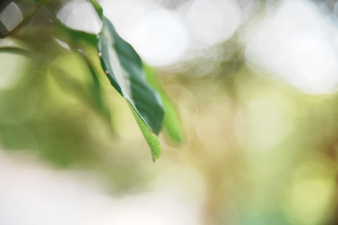 美品 動作◎ AF-S Nikkor 24-120mm F4G ED VR 12