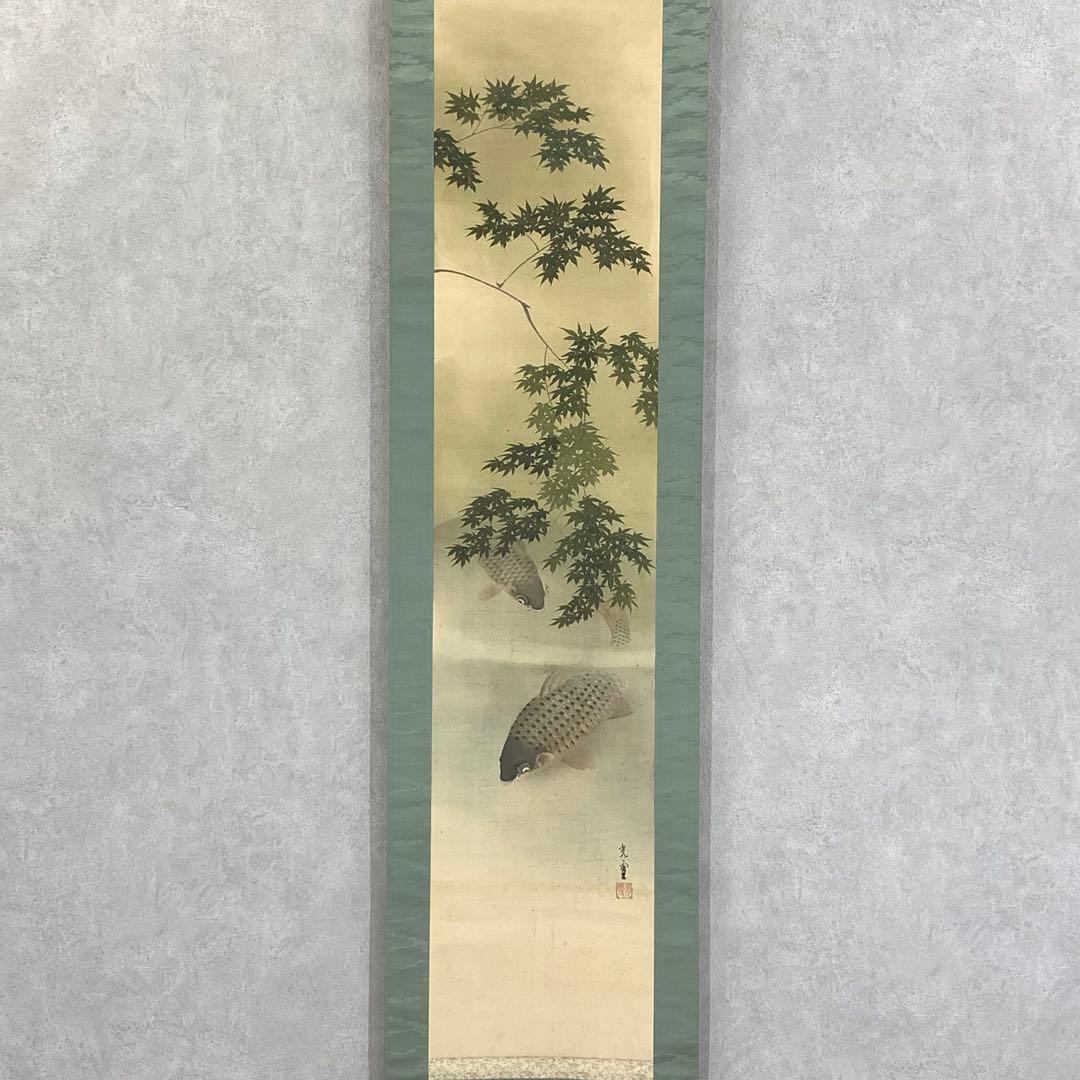 掛軸 光雪 鯉 木箱 3-20