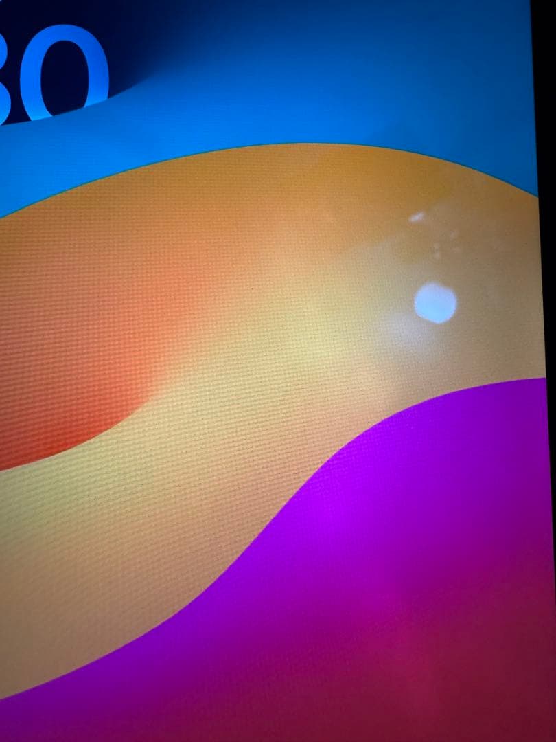 Apple iPad Pro 10.5インチ スペースグレー 256G 訳アリ品