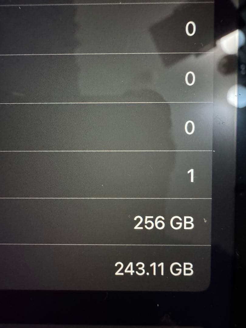 Apple iPad Pro 10.5インチ スペースグレー 256G 訳アリ品