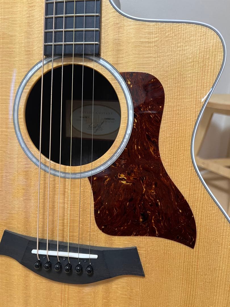 Taylor アコースティックギター ハードケース付き