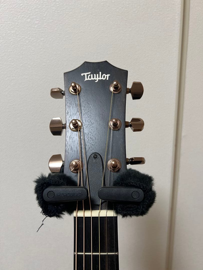 Taylor アコースティックギター ハードケース付き