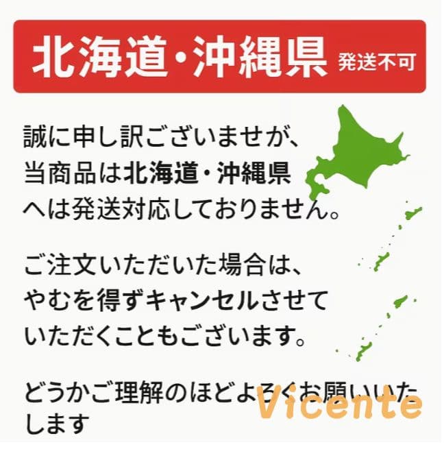 Vicente 高さ調整可能 リビングセンターテーブル 収納付き モーデン