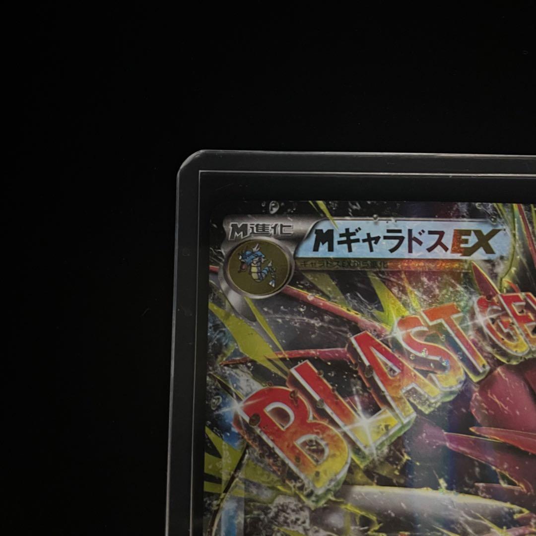 MギャラドスEX RR XY9 破天の怒り 019/080