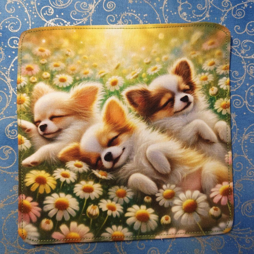 ご確認用　マーブル☆　ハンカチ　チワワちゃん柄etc　18枚