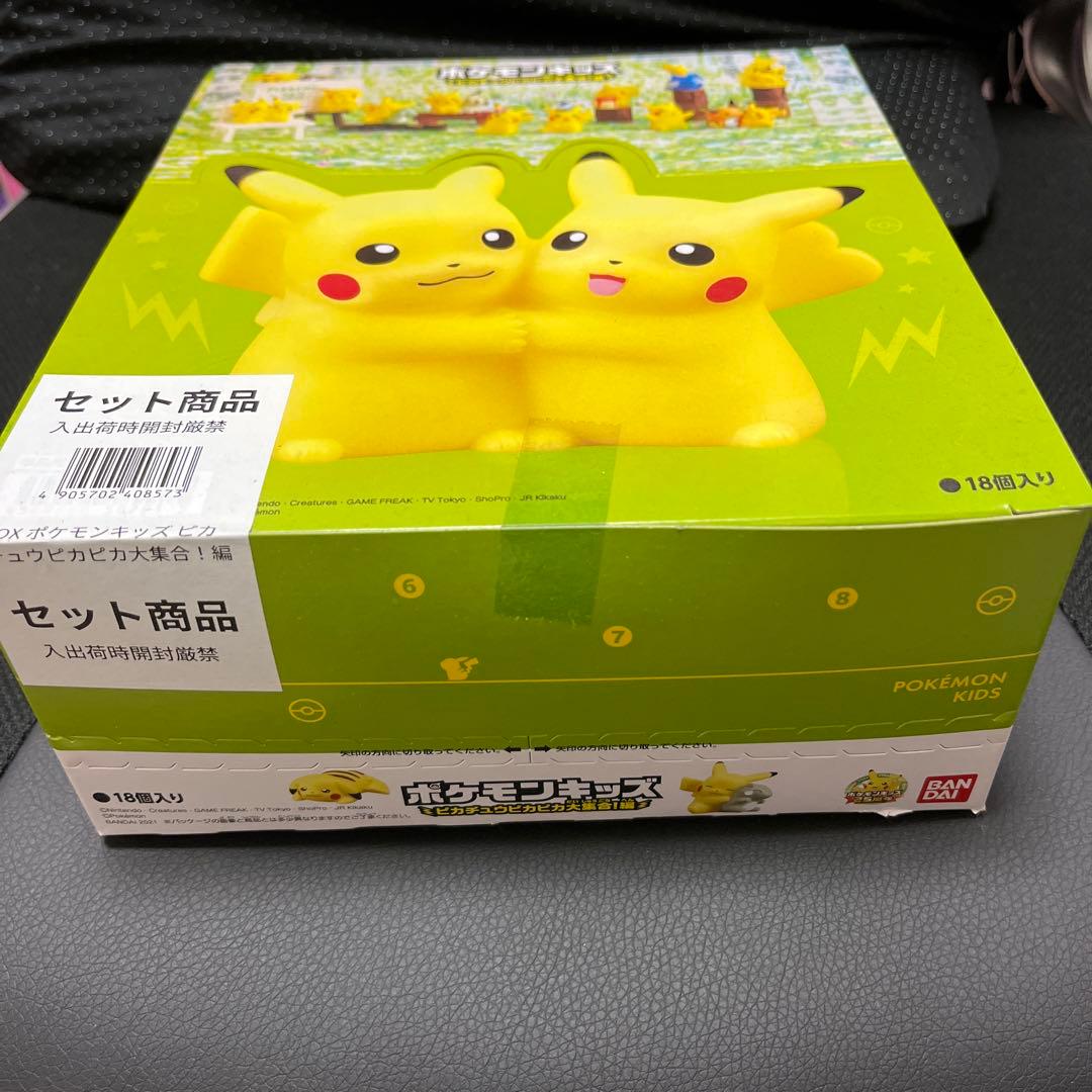 ポケモンキッズ　ピカチュウピカピカ大集合！編