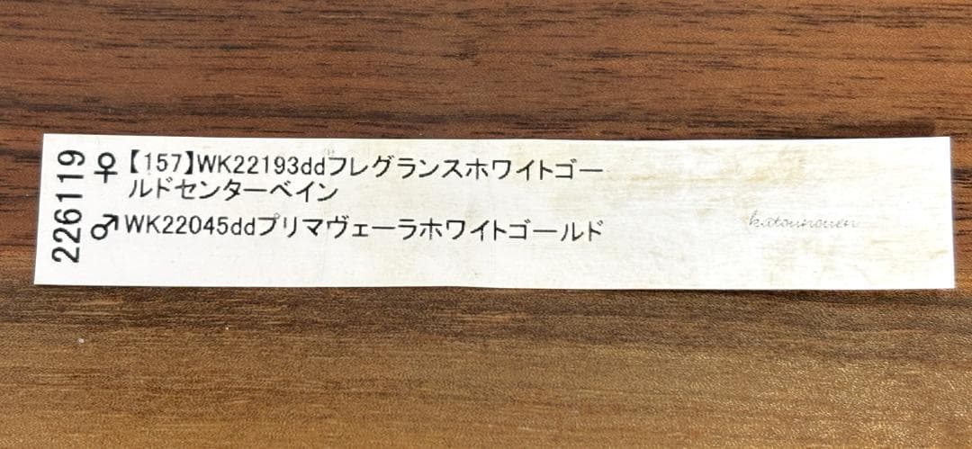 クリスマスローズ♡ddプリマヴェーラホワイトゴールド交配♡加藤農園♡夏越し株