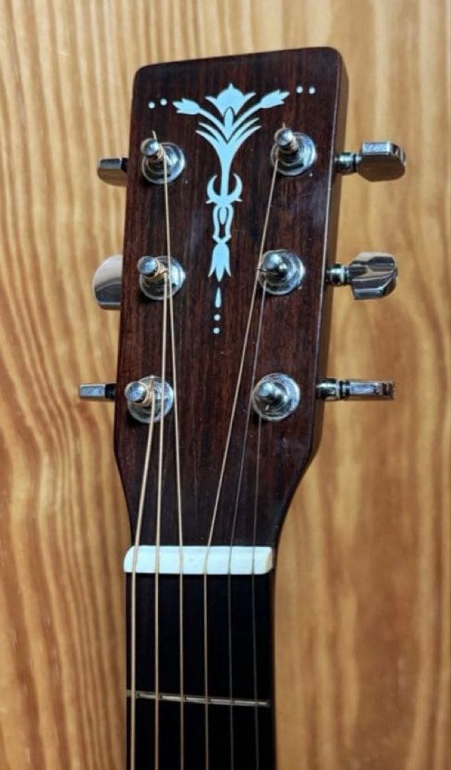 【エレアコ化】Aria ADW-200BS 低弦高 ライブ向け ソフトケース付