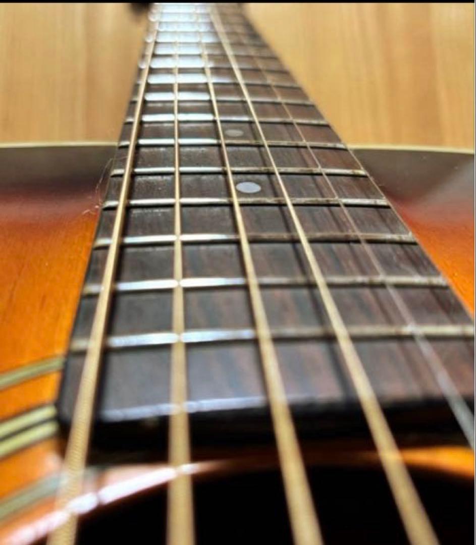 【エレアコ化】Aria ADW-200BS 低弦高 ライブ向け ソフトケース付