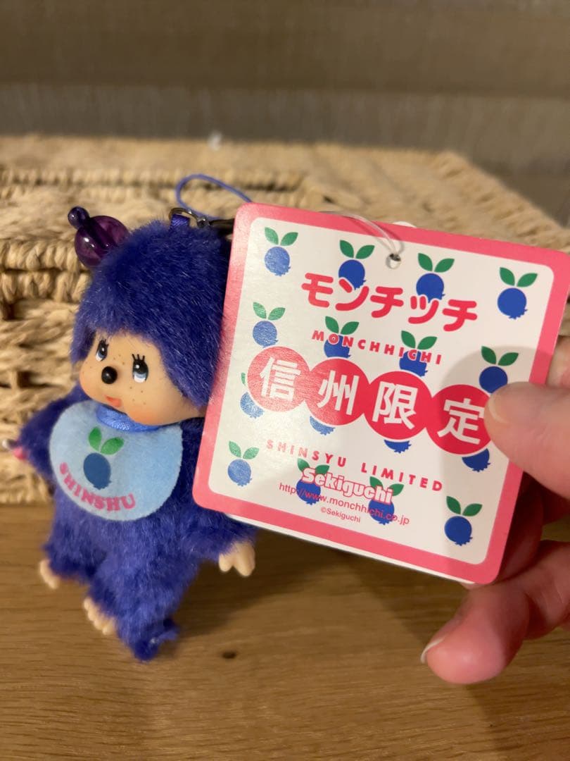 【新品】信州限定 モンチッチ Monchhichi ブリーベリー