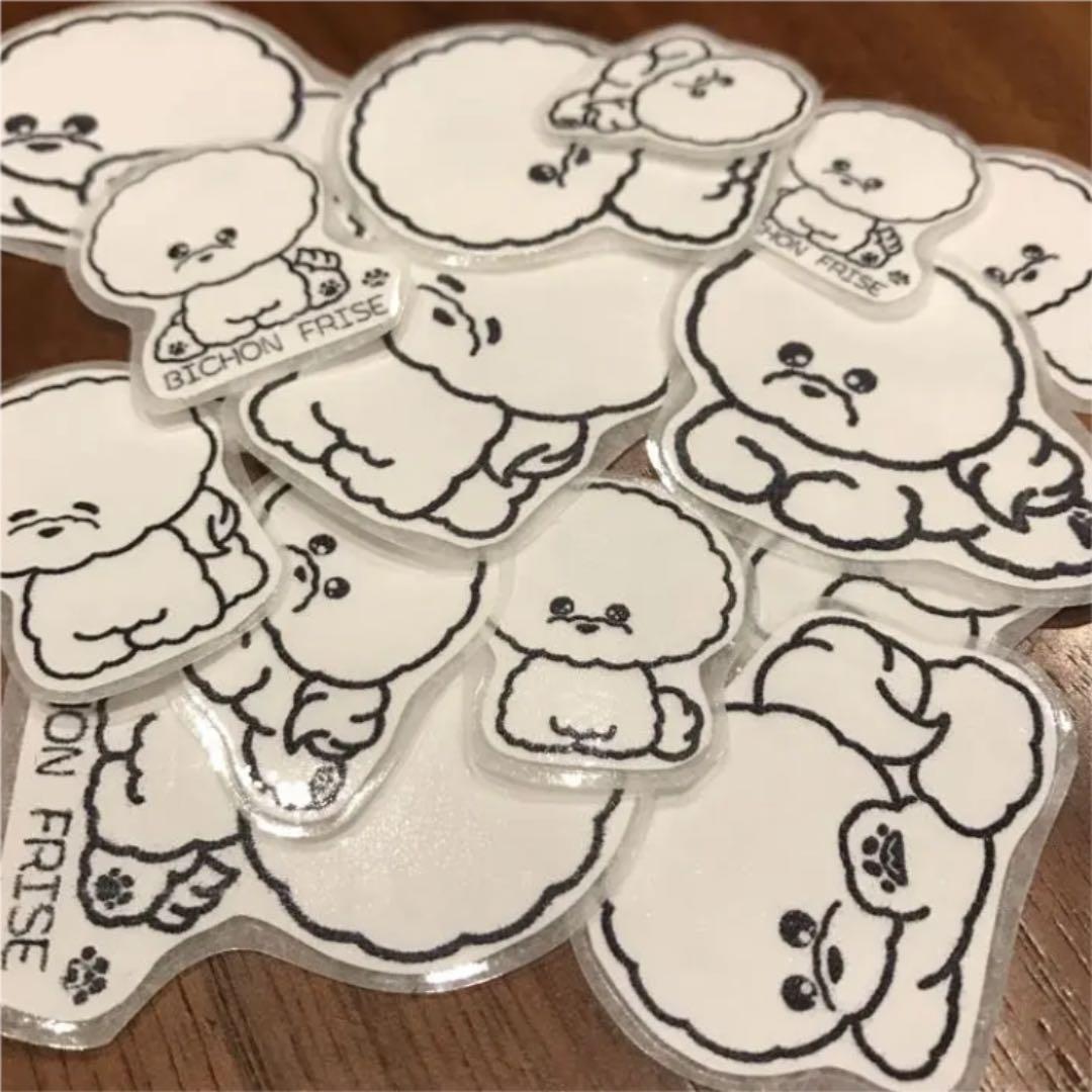 新作♡ビションフリーゼ『ri2015』『まろん＆クレア』コラボ商品