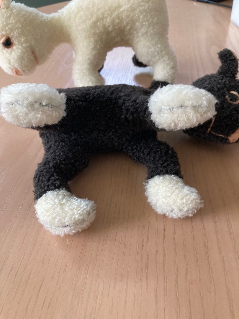 Frederic フレデリック　セット