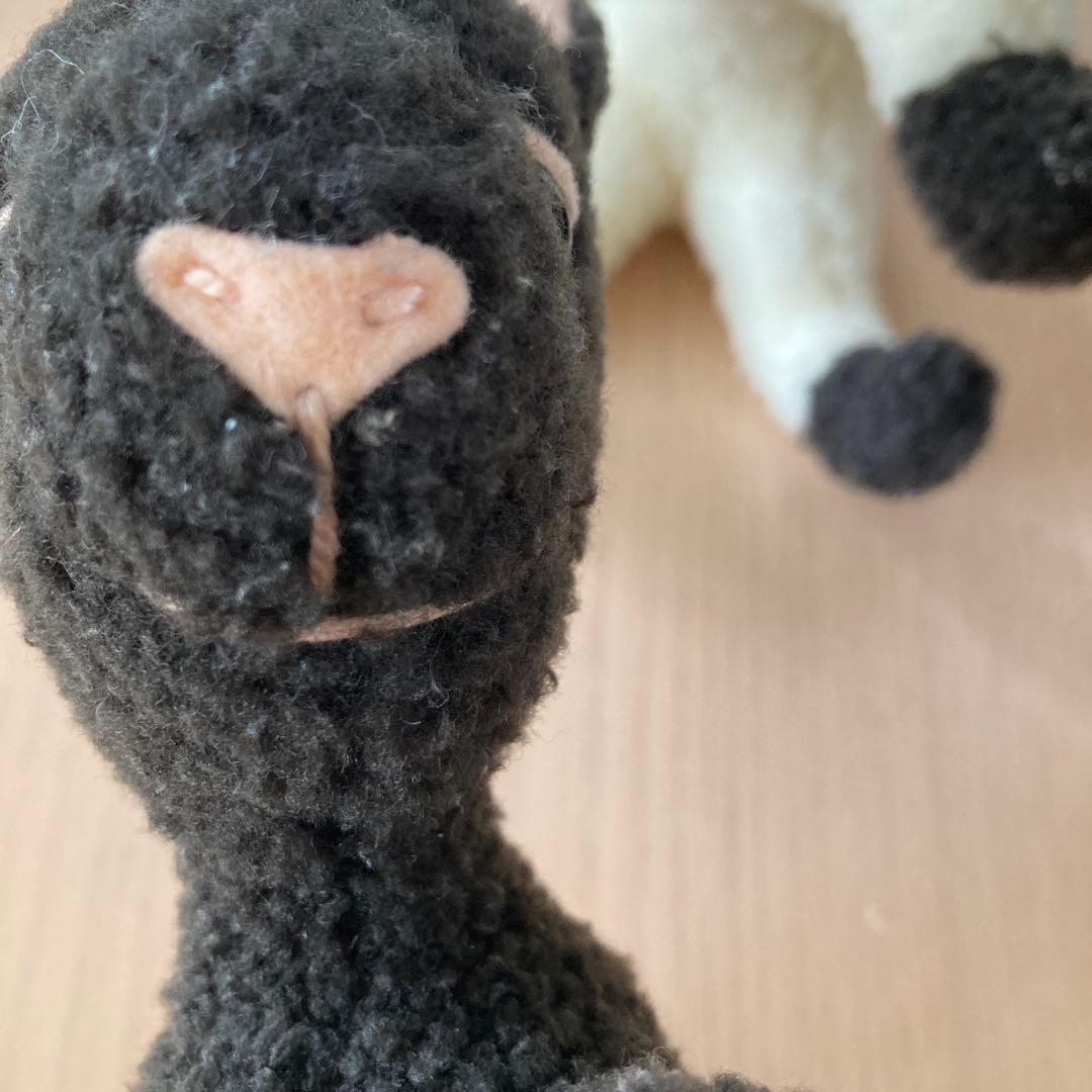 Frederic フレデリック　セット